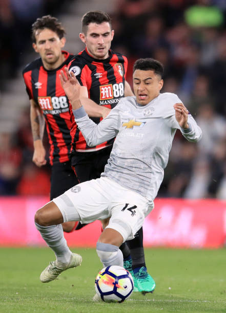 埃利奥特的 埃利奥特的