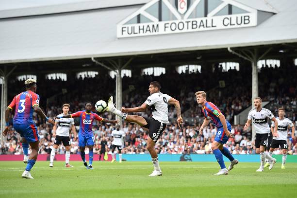 的升班马球 的升班马球